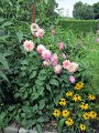 IMG_1082, (1)